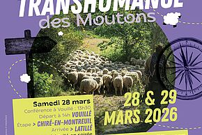 affiche de la Transhumance de Mouton Village édition 2026 