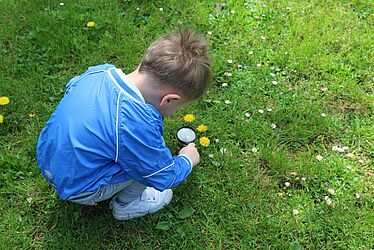Enfant examinant de près un pissenlit avec une loupe