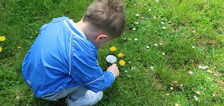 Enfant examinant de près un pissenlit avec une loupe