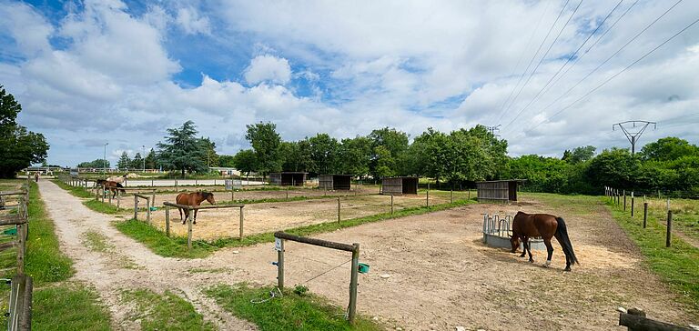 prairie centre équestre
