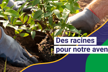 Bannière Plan Canopée de Grand Poitiers : des racines pour notre avenir