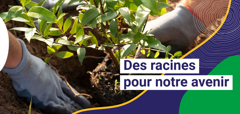 Bannière Plan Canopée de Grand Poitiers : des racines pour notre avenir