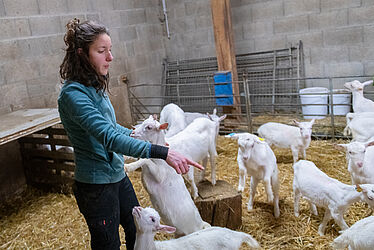 Femme en compagnie de chèvres