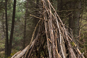 photo Atelier Nature en famille "Construction de cabane"
