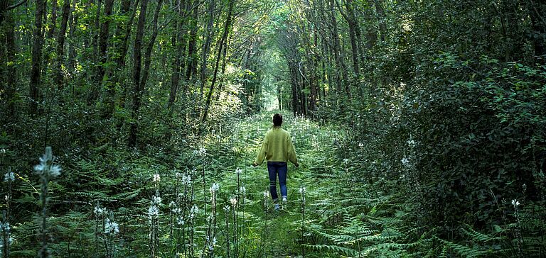 Personne de dos, marchant à travers une forêt luxuriante