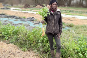 photo de la ferme de Noélie
