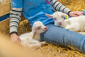 La Ferme s'invite