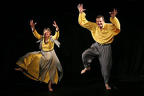 Le vilain petit canard