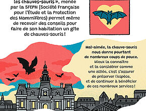 Bande-dessinée "Comment préserver les chauves-souris" 10e partie - Agrandir l'image (fenêtre modale)