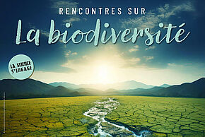 La biodiversité, pourquoi en avons-nous tant besoin?