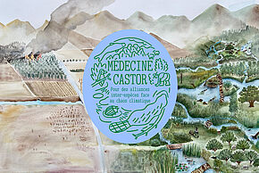 Affiche Médecine Castor, Suzanne Husky