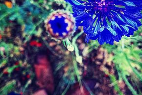 "Ceux que nous sommes" Episode 2