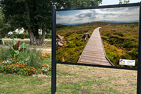Photo Exposition photo