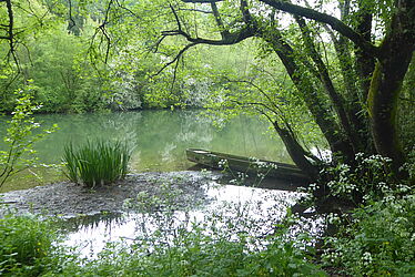 Étendue d'eau