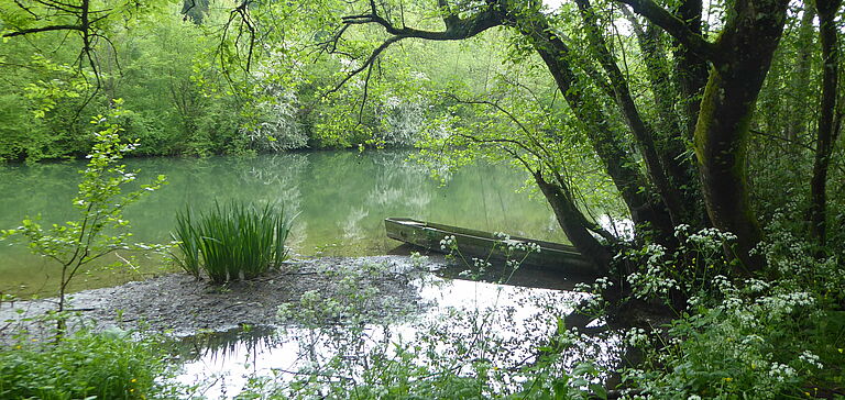Étendue d'eau