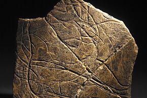 Visite-flash : Les gravures de la Marche