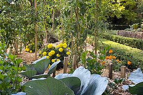 Photo "Conseil de Jardinier"