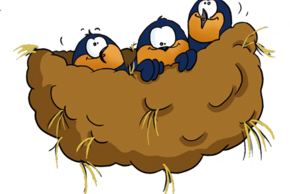 image Atelier fabrinature 