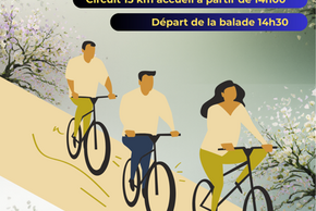 affiche Mai à vélo à Croutelle