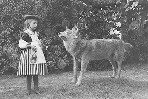 Le fief et le loup
