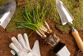 Outils et gants de jardinage