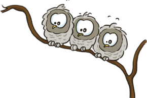 Atelier fabrinature : Mission Chouette !