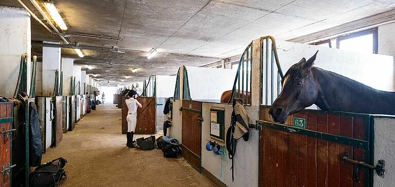 écuries centre équestre