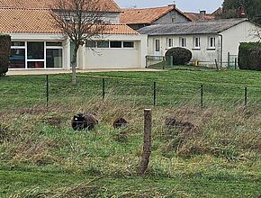 Agrandir l'image (fenêtre modale)