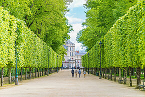 Visite-flash. Midi au jardin : Le parc de Blossac