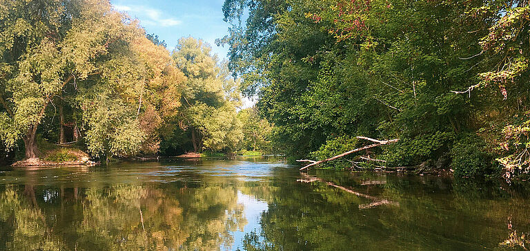 Étendue d'eau
