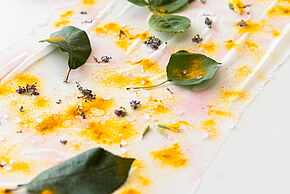 Atelier Nature "Dessiner avec la nature"