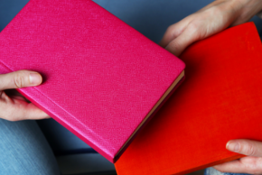 Image d'illustration : deux personnes s'échangent des livres. 