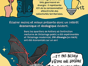 Illustration "Pourquoi réduire l'éclairage public" 6e partie - Agrandir l'image (fenêtre modale)