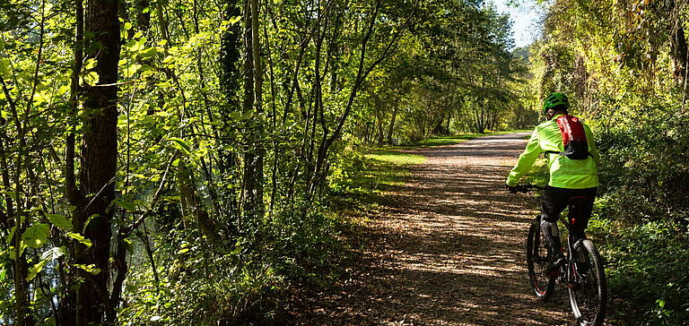 Personne faisant une balade en VTT