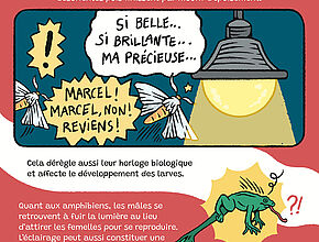 Illustration "Pourquoi réduire l'éclairage public" 4e partie - Agrandir l'image (fenêtre modale)
