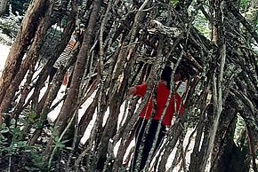 Atelier nature "Construction de cabanes"
