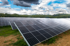 Photo d'un champs de panneaux solaires