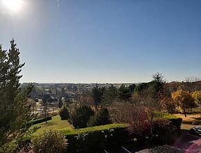 Agrandir l'image (fenêtre modale)