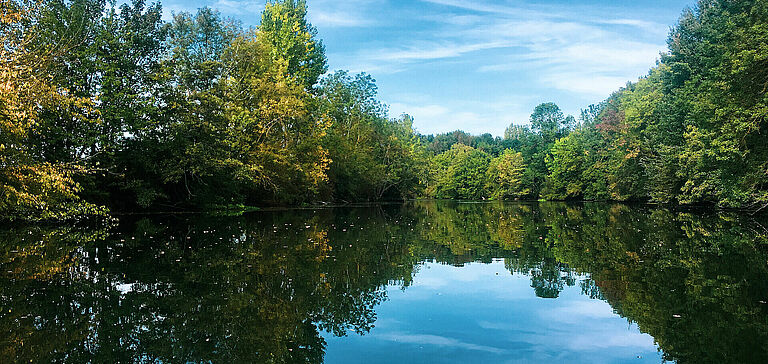 Rivière du Clain