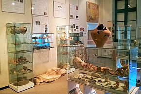 Photo d'une exposition dans le Musées à Béruges