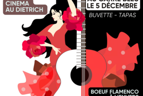 Festival Flamenco à Poitiers
