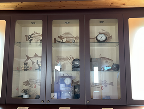 Cabinet des curiosités - Agrandir l'image (fenêtre modale)