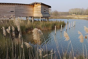 Observatoire LPO du Parc Camping du lac de Saint-Cyr 