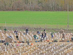 Plusieurs personnes plantant des arbres - Agrandir l'image (fenêtre modale)
