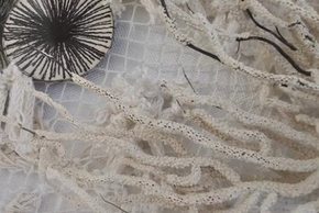 Œuvre de l'artiste Evoo représentant un corail