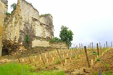 Beaumont Saint-Cyr
