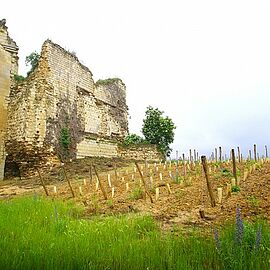 Beaumont Saint-Cyr