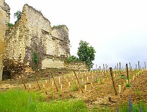 Beaumont Saint-Cyr - Agrandir l'image (fenêtre modale)