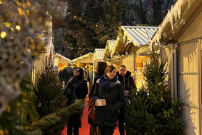 Photo de l'ilôt Tison à Noël