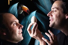 Perchés ! par Les chanteurs d'oiseaux (humour musical)